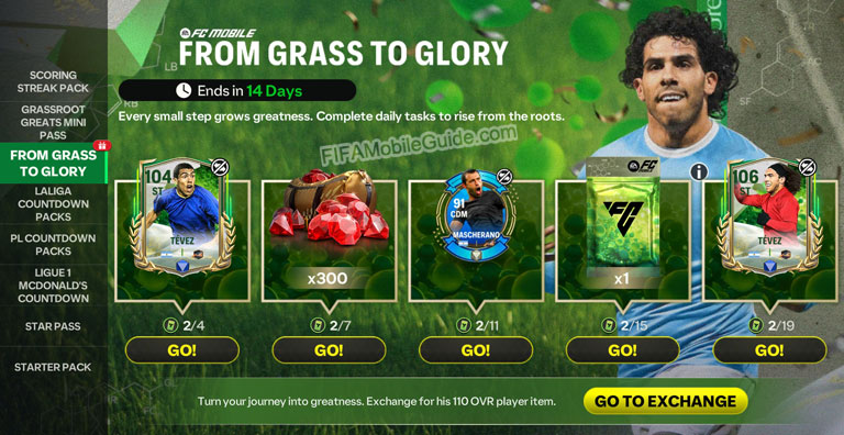 Grass to Glory Carlos Tevez