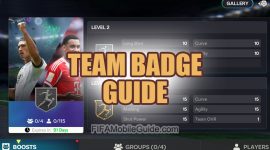 Team Badge Guide Banner Image