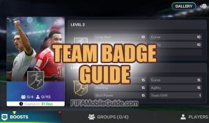 Team Badge Guide Banner Image