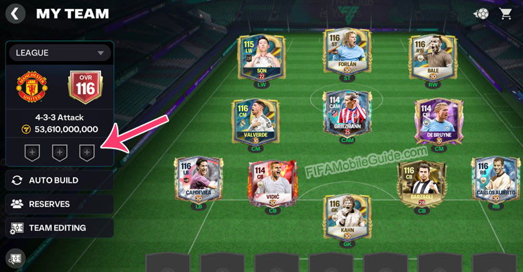 How to Activate Team Badge