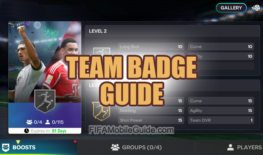 Team Badge Guide Banner Image