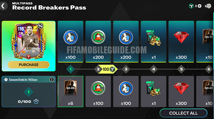 Record Breakers Mini Pass