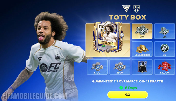 TOTY Box