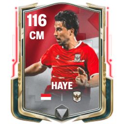 116 OVR Haye