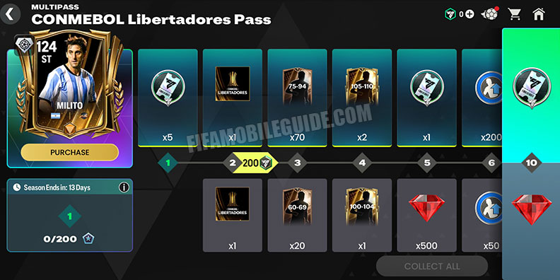 Conmebol Libertadores 27 Pass