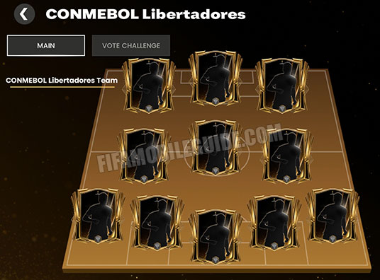 Conmebol Libertadores 27 Team